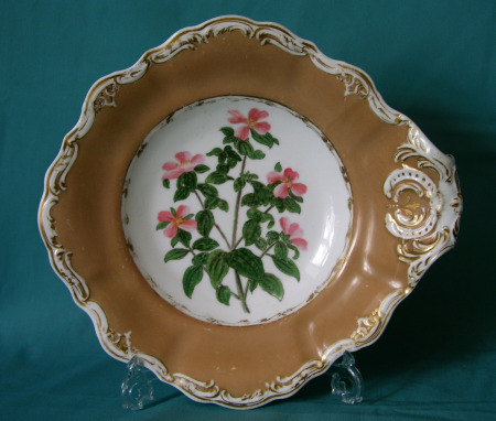 A Copeland & Garrett botanical dish c.1835-40