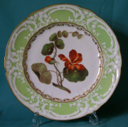 Coalport plate c.1820 front