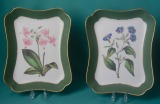 A Pair of Davenport Porcelain Botanical Dishes c.1820