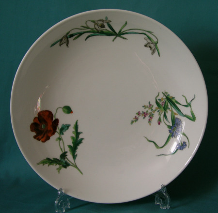 A Minton botanical deep plate c.1877