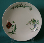 A Minton botanical deep plate c.1877