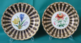 A Pair of Staffordshire Porcelain Plates c.1850