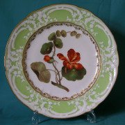 Coalport plate c.1820 front