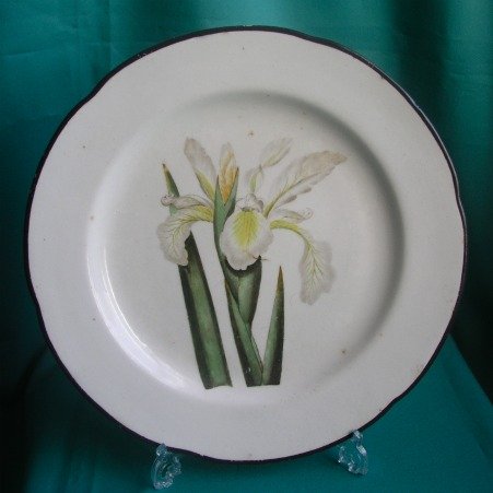 A Derby Botanical Dinner Plate, Pattern 197, c.1800